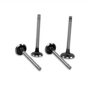 ENGINE VALVES ( INTAKE AND EXHAUST)